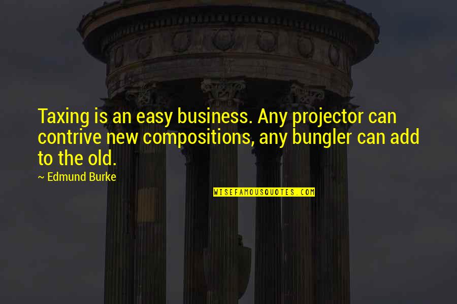New Grandmothers Quotes By Edmund Burke: Taxing is an easy business. Any projector can
