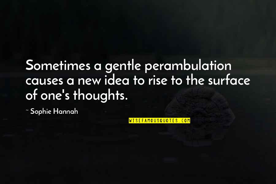 New Idea Quotes By Sophie Hannah: Sometimes a gentle perambulation causes a new idea
