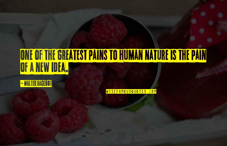 New Idea Quotes By Walter Bagehot: One of the greatest pains to human nature