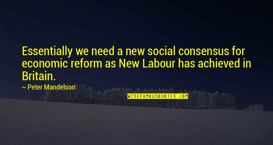 New Labour Quotes By Peter Mandelson: Essentially we need a new social consensus for