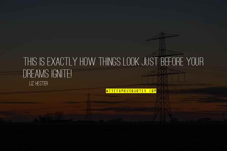 New Look Quotes By Liz Hester: This IS exactly how things look just before