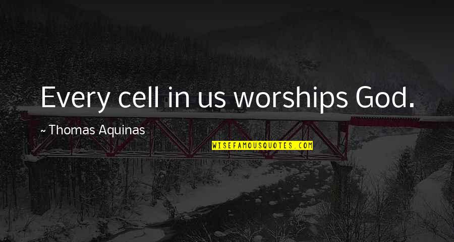 New Mom Sayings And Quotes By Thomas Aquinas: Every cell in us worships God.