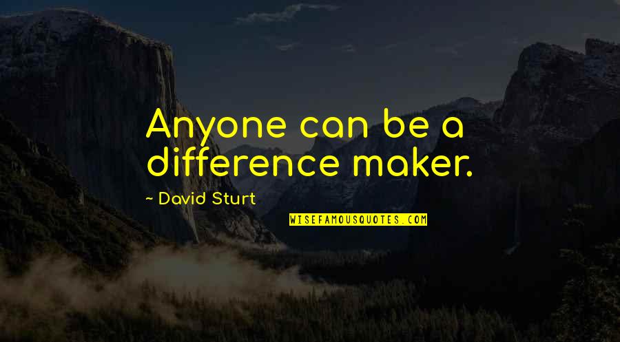 New Money In The Great Gatsby Quotes By David Sturt: Anyone can be a difference maker.