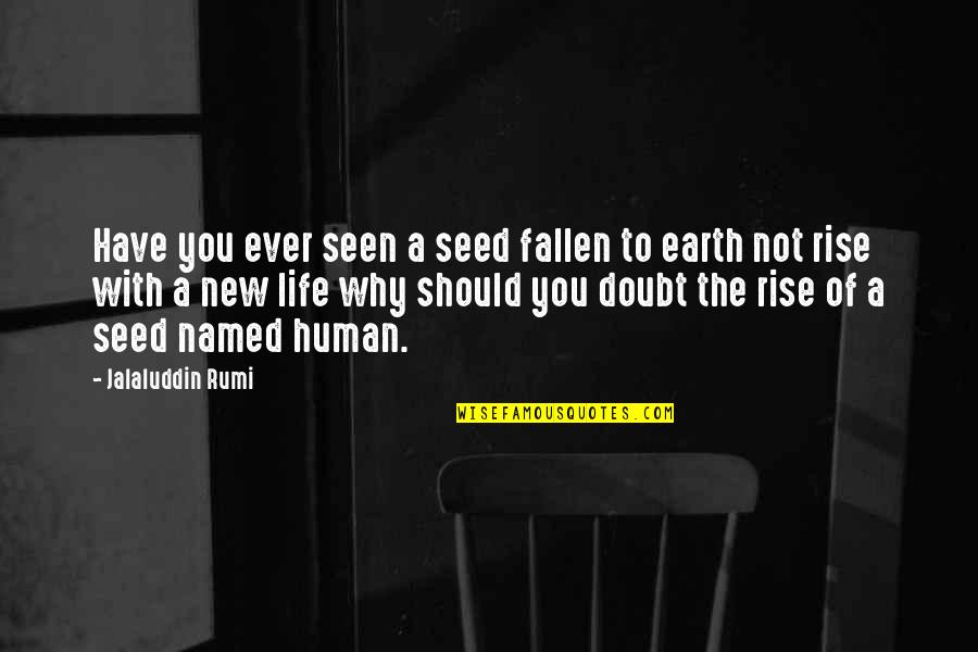 New Rise Quotes By Jalaluddin Rumi: Have you ever seen a seed fallen to