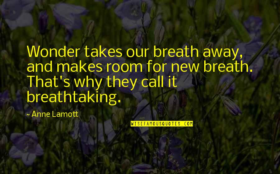 New Room Quotes By Anne Lamott: Wonder takes our breath away, and makes room New Room Quotes By Anne Lamott: Wonder takes our breath away, and makes room