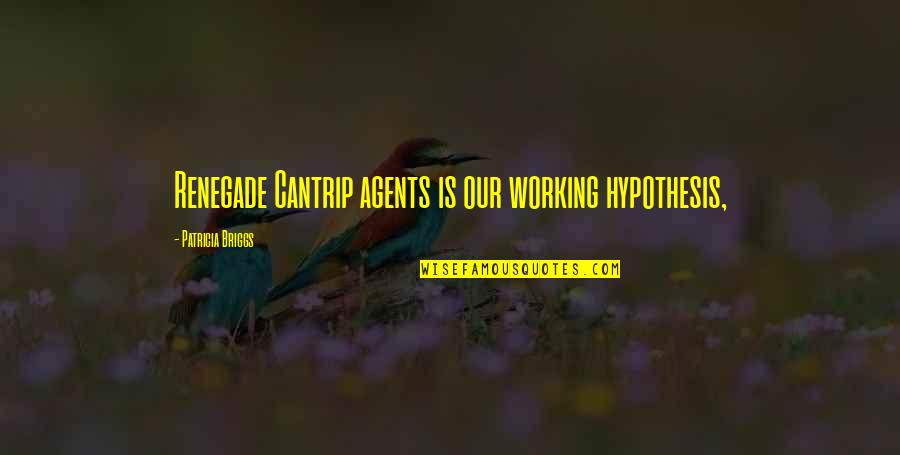 New Son In Law Quotes By Patricia Briggs: Renegade Cantrip agents is our working hypothesis,