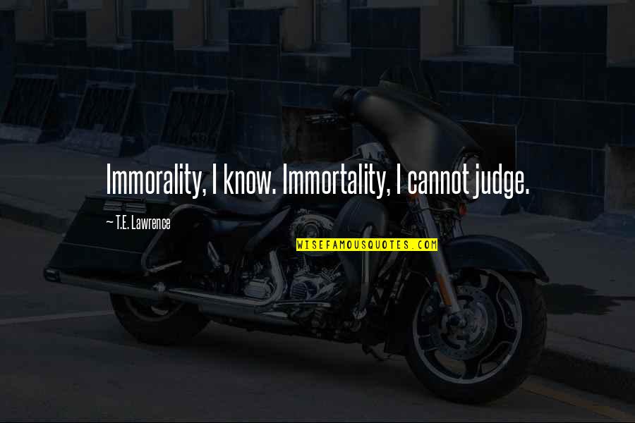 New Super Mario Bros Ds Quotes By T.E. Lawrence: Immorality, I know. Immortality, I cannot judge. New Super Mario Bros Ds Quotes By T.E. Lawrence: Immorality, I know. Immortality, I cannot judge.
