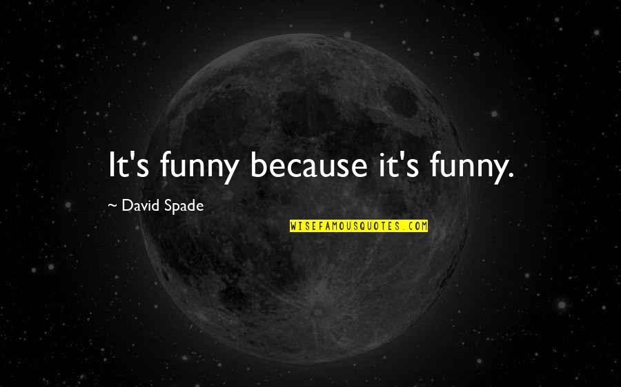 New Task Quotes By David Spade: It's funny because it's funny.