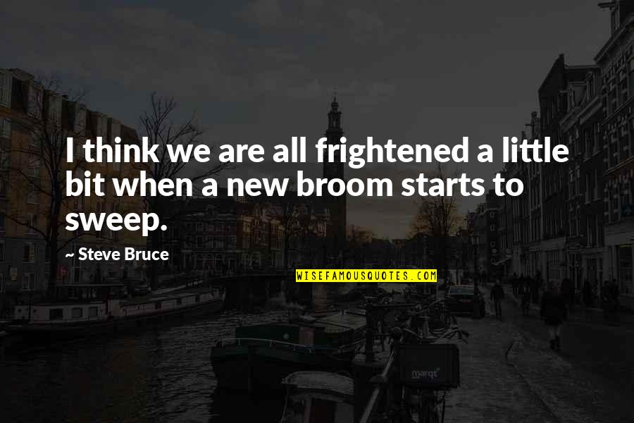 New Think Quotes By Steve Bruce: I think we are all frightened a little