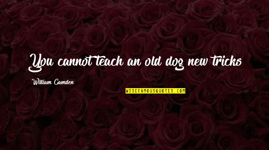 New Tricks Quotes By William Camden: You cannot teach an old dog new tricks