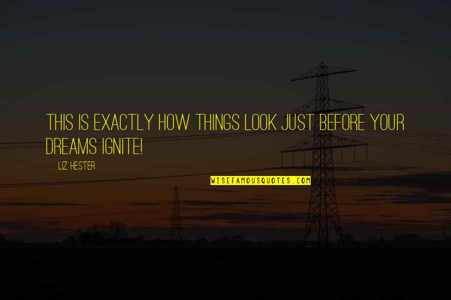New Vision Quotes By Liz Hester: This IS exactly how things look just before