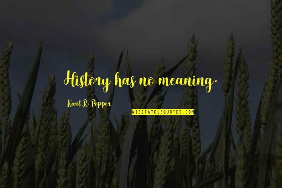 New Working Mom Quotes By Karl R. Popper: History has no meaning.