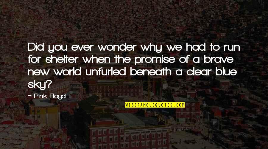 New World Quotes By Pink Floyd: Did you ever wonder why we had to