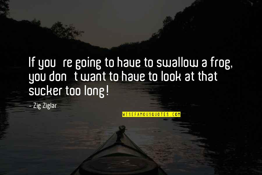 New Year 2013 Sad Quotes By Zig Ziglar: If you're going to have to swallow a