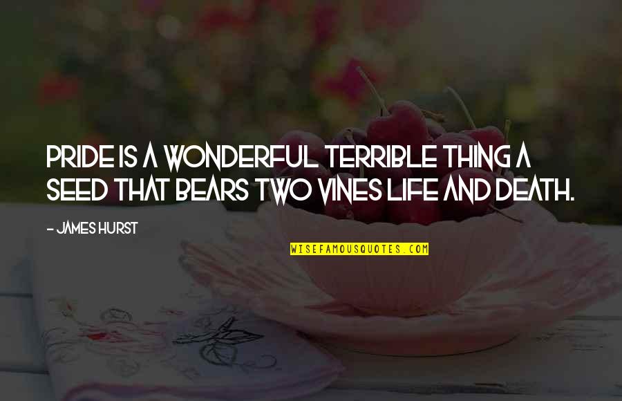 New Year For Love Quotes By James Hurst: Pride is a wonderful terrible thing a seed