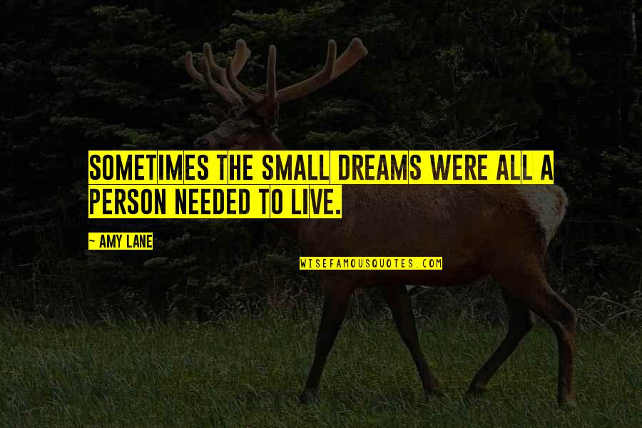New Year Same Goal Quotes By Amy Lane: Sometimes the small dreams were all a person