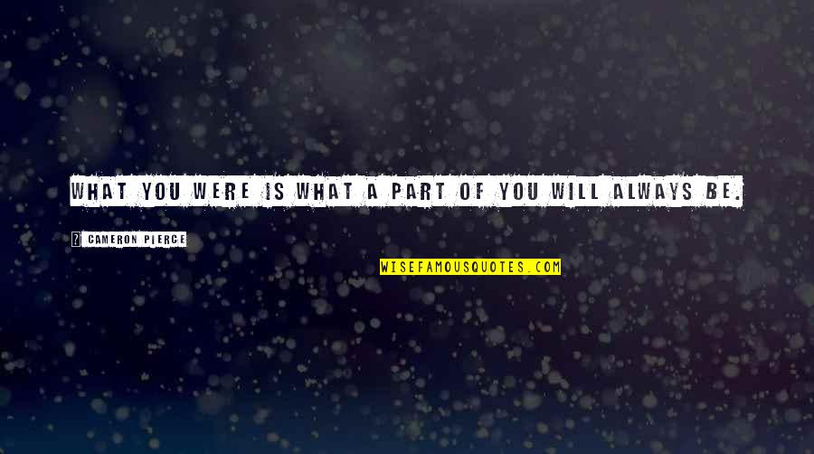 New York Cabs Quotes By Cameron Pierce: What you were is what a part of New York Cabs Quotes By Cameron Pierce: What you were is what a part of
