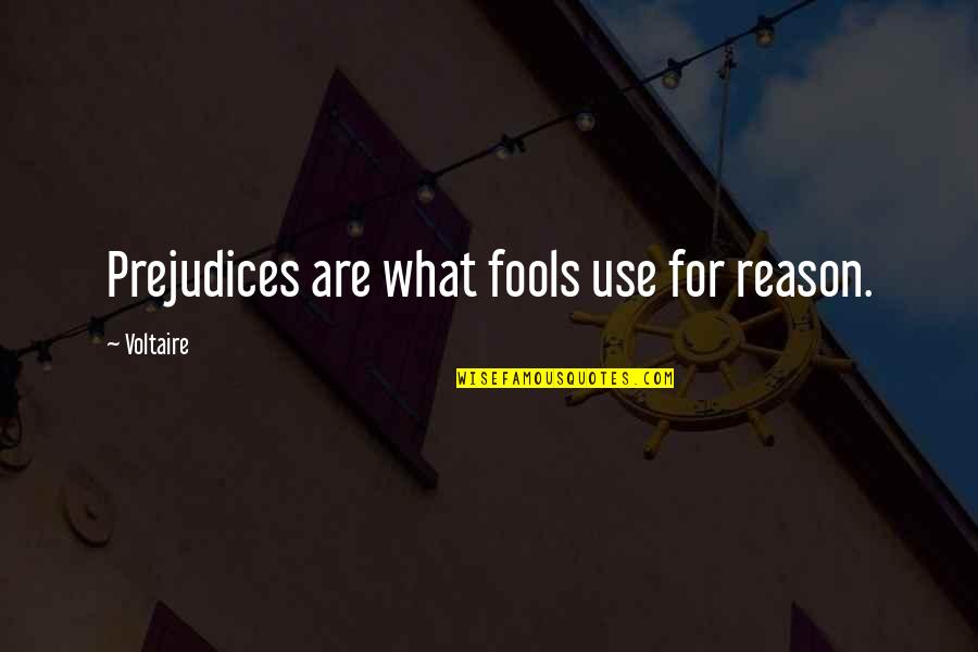 New York Fashion Quotes By Voltaire: Prejudices are what fools use for reason.