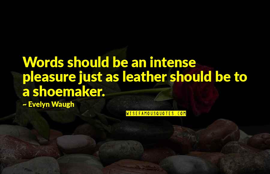 New York Giants Football Quotes By Evelyn Waugh: Words should be an intense pleasure just as