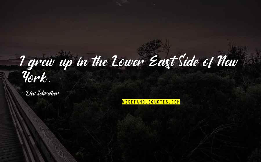 New York New York Quotes By Liev Schreiber: I grew up in the Lower East Side New York New York Quotes By Liev Schreiber: I grew up in the Lower East Side