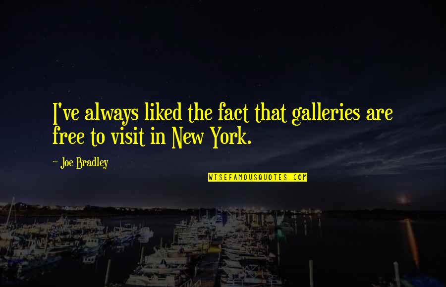 New York Visit Quotes By Joe Bradley: I've always liked the fact that galleries are