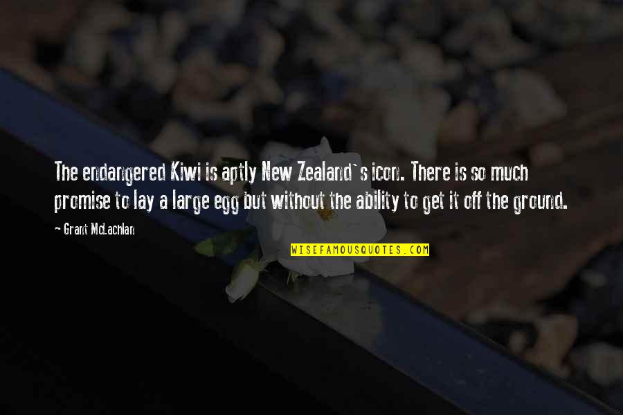 New Zealand Kiwi Quotes By Grant McLachlan: The endangered Kiwi is aptly New Zealand's icon.