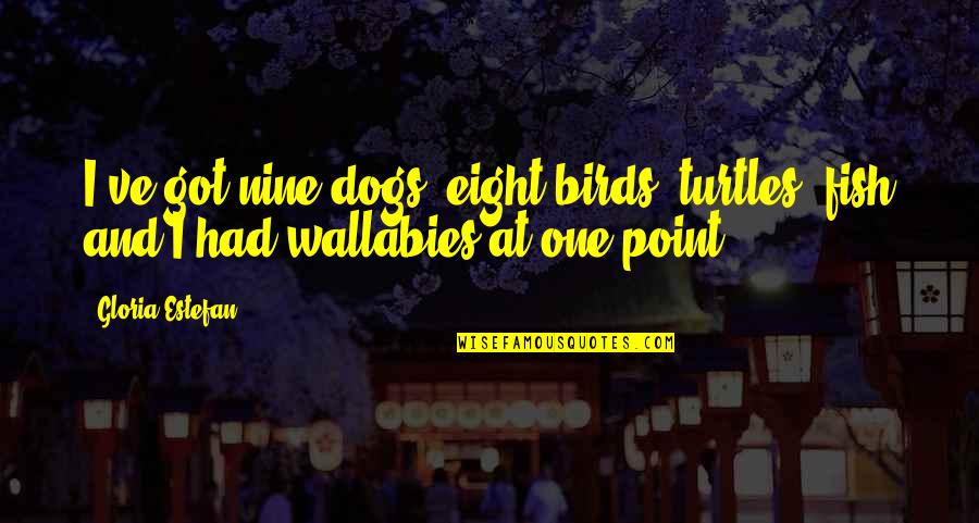 Newcastle's Quotes By Gloria Estefan: I've got nine dogs, eight birds, turtles, fish