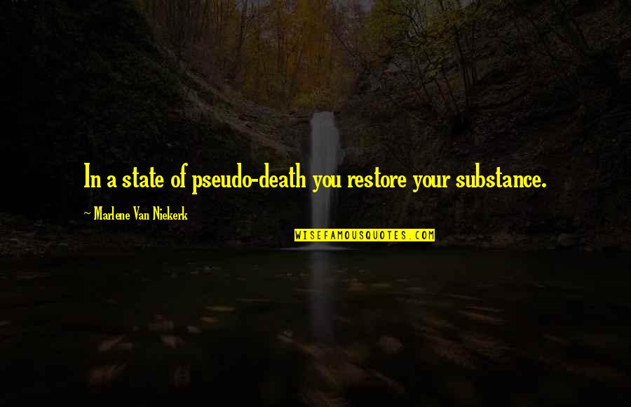Newell Dwight Hillis Quotes By Marlene Van Niekerk: In a state of pseudo-death you restore your