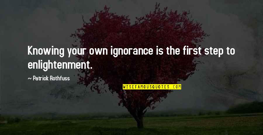 Newfangleness Quotes By Patrick Rothfuss: Knowing your own ignorance is the first step