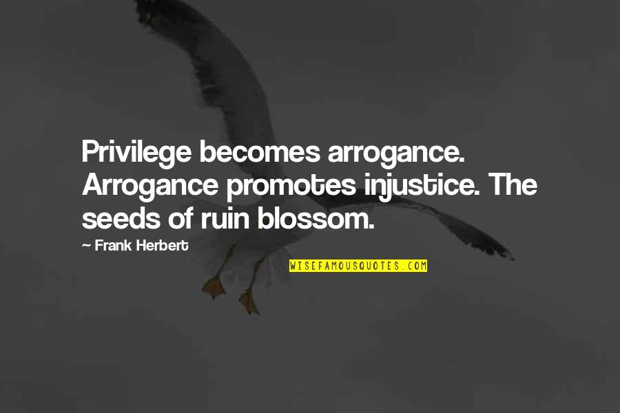 Newfie Slang Quotes By Frank Herbert: Privilege becomes arrogance. Arrogance promotes injustice. The seeds