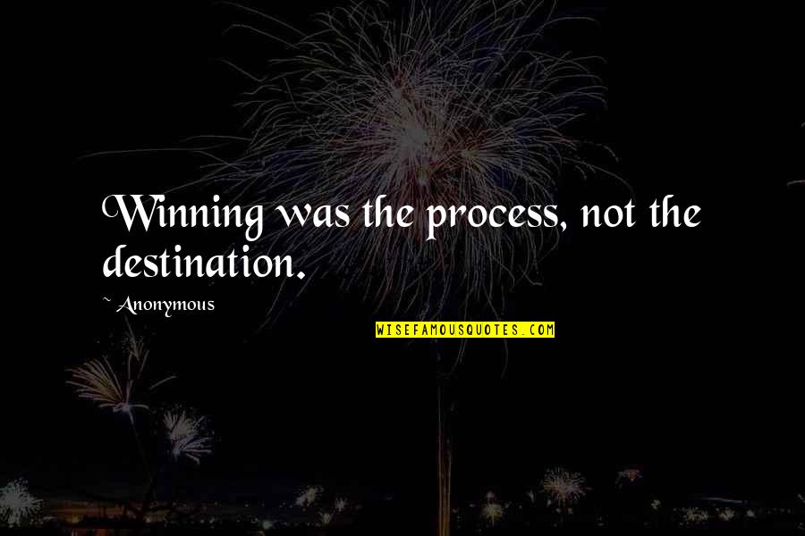 Newgrass Quotes By Anonymous: Winning was the process, not the destination.