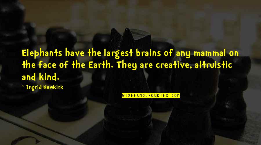 Newkirk Quotes By Ingrid Newkirk: Elephants have the largest brains of any mammal