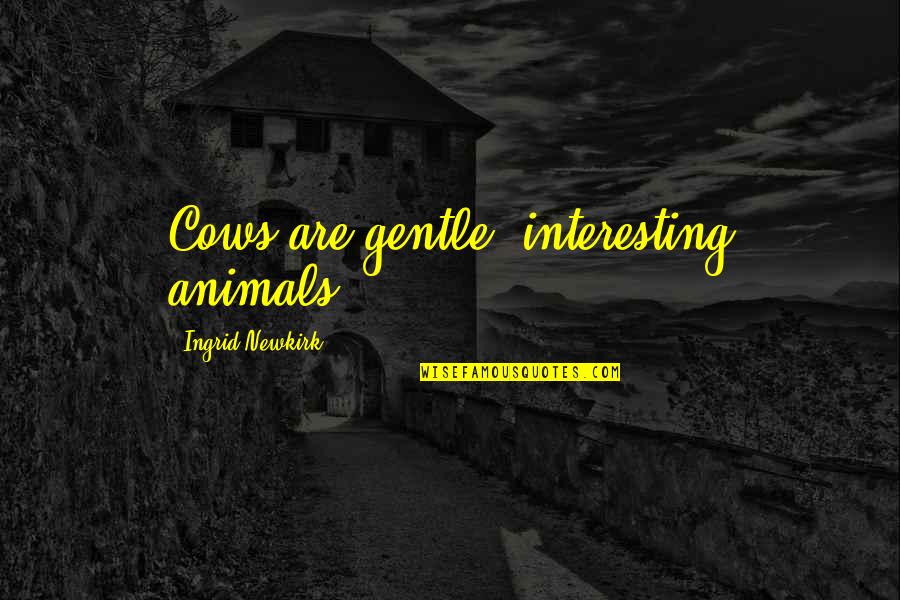 Newkirk Quotes By Ingrid Newkirk: Cows are gentle, interesting animals.