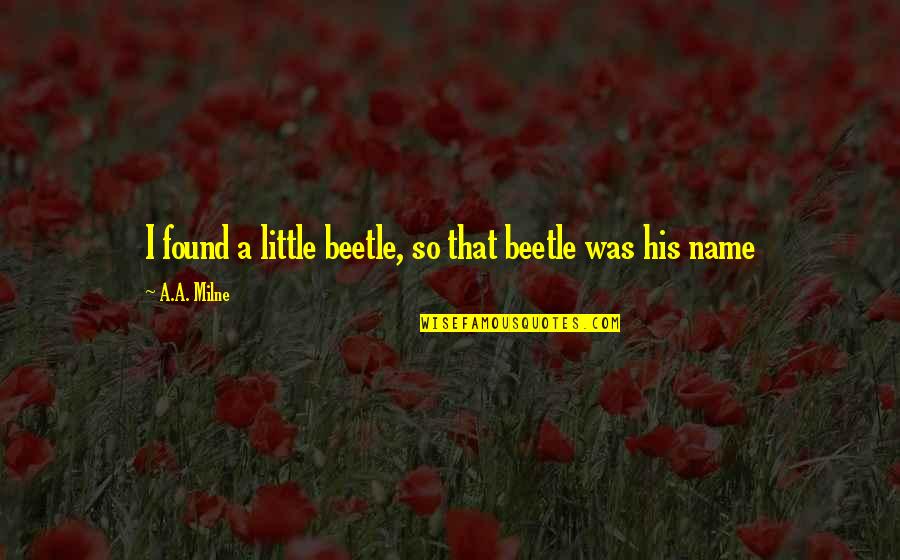 Newly Graduates Quotes By A.A. Milne: I found a little beetle, so that beetle