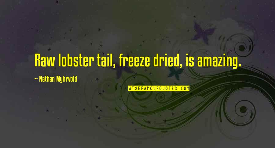 News From Nowhere Quotes By Nathan Myhrvold: Raw lobster tail, freeze dried, is amazing. News From Nowhere Quotes By Nathan Myhrvold: Raw lobster tail, freeze dried, is amazing.