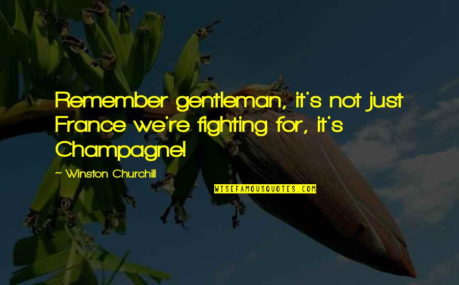 Newscasts Doolittle Quotes By Winston Churchill: Remember gentleman, it's not just France we're fighting