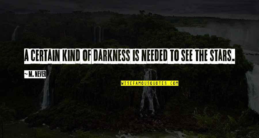 Newsday Long Island Quotes By M. Never: A certain kind of darkness is needed to