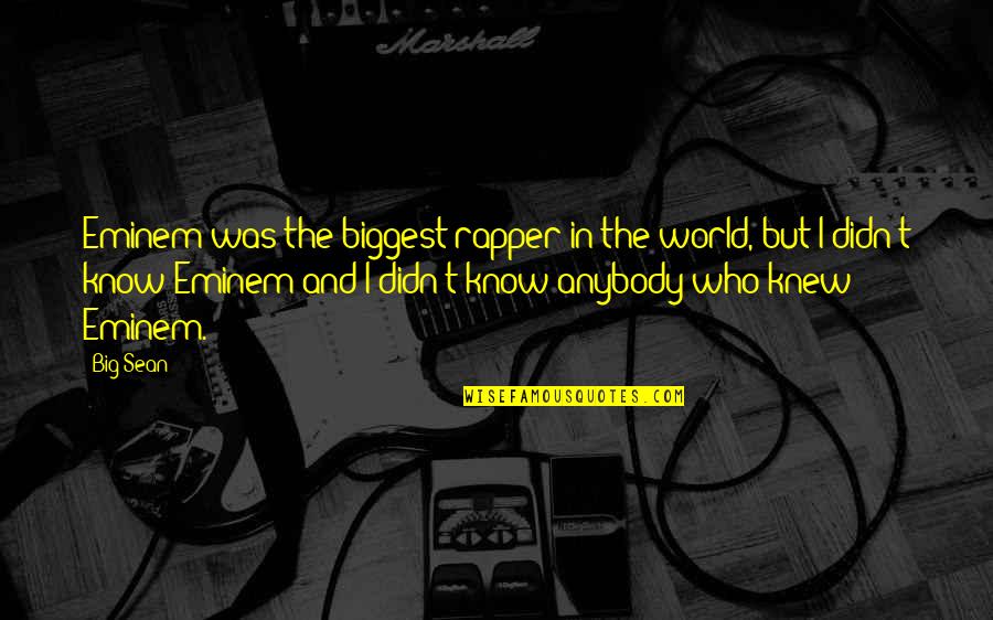 Nexe Quotes By Big Sean: Eminem was the biggest rapper in the world,