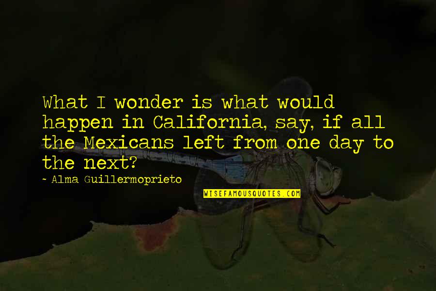 Next Day Quotes By Alma Guillermoprieto: What I wonder is what would happen in Next Day Quotes By Alma Guillermoprieto: What I wonder is what would happen in