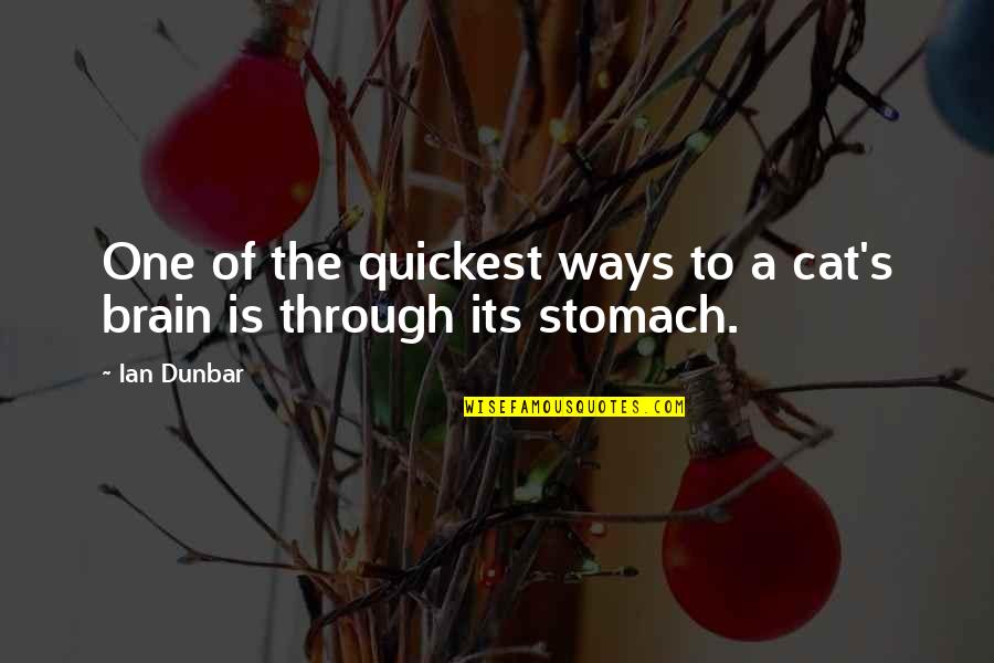 Next Decade Stock Quotes By Ian Dunbar: One of the quickest ways to a cat's