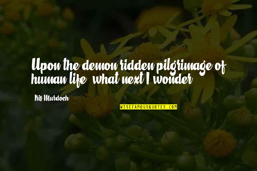 Next Life Quotes By Iris Murdoch: Upon the demon-ridden pilgrimage of human life, what