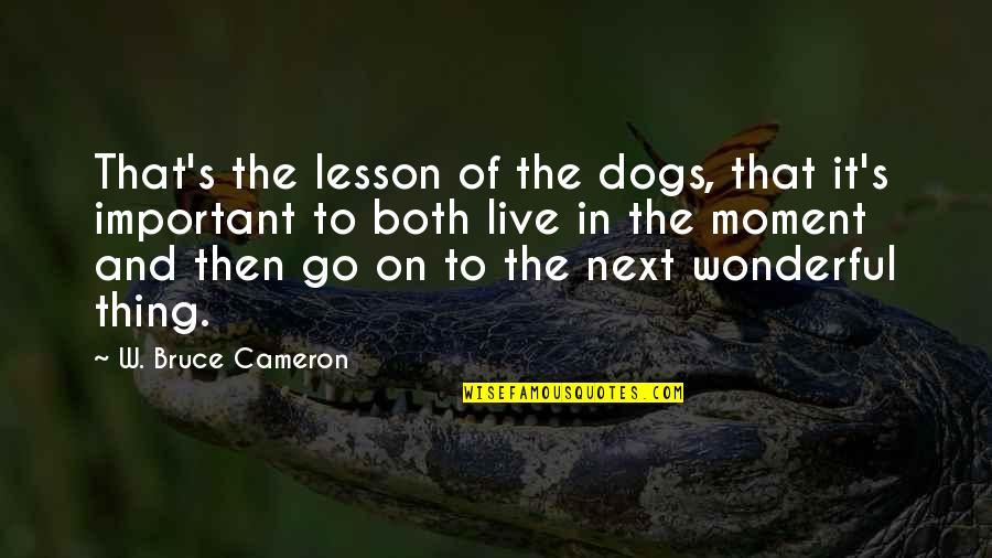 Next Moment Quotes By W. Bruce Cameron: That's the lesson of the dogs, that it's Next Moment Quotes By W. Bruce Cameron: That's the lesson of the dogs, that it's