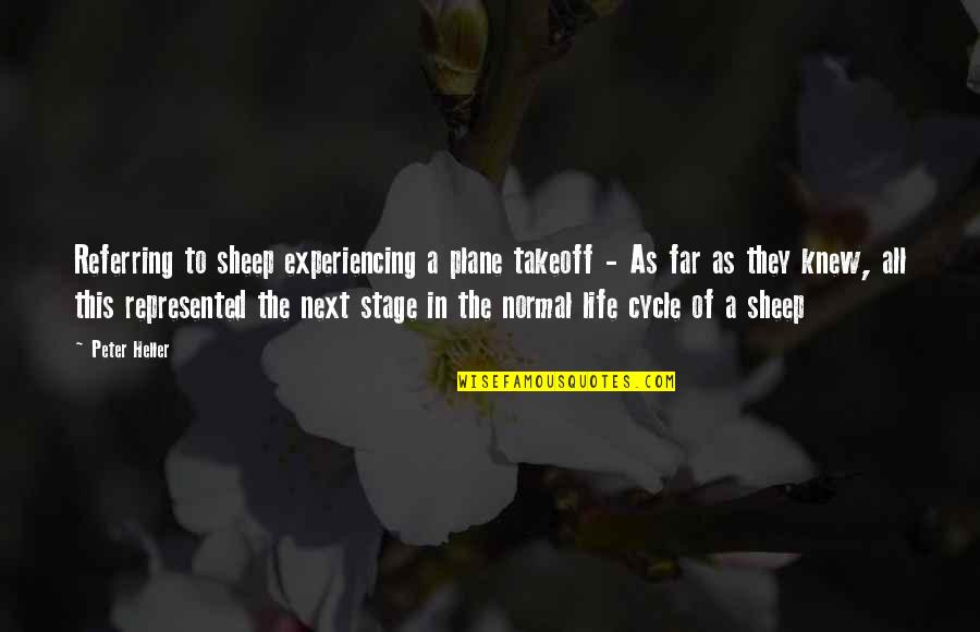 Next Stage Life Quotes By Peter Heller: Referring to sheep experiencing a plane takeoff -
