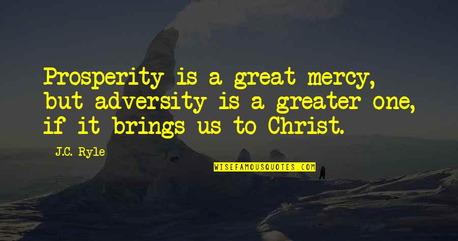 Next Step In Career Quotes By J.C. Ryle: Prosperity is a great mercy, but adversity is