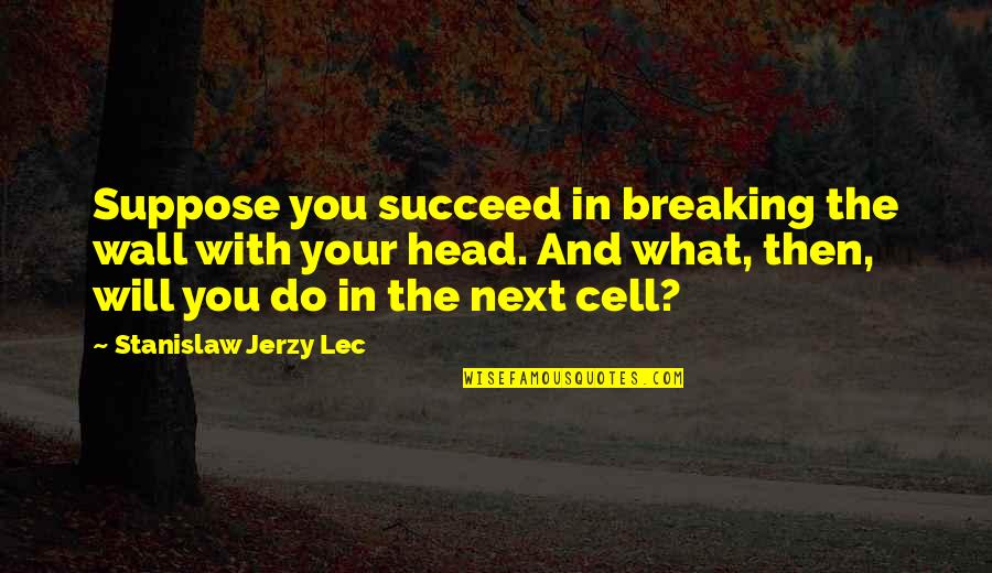 Next Wall Quotes By Stanislaw Jerzy Lec: Suppose you succeed in breaking the wall with Next Wall Quotes By Stanislaw Jerzy Lec: Suppose you succeed in breaking the wall with