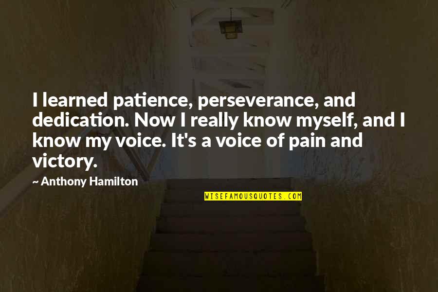 Neylen Quotes By Anthony Hamilton: I learned patience, perseverance, and dedication. Now I Neylen Quotes By Anthony Hamilton: I learned patience, perseverance, and dedication. Now I