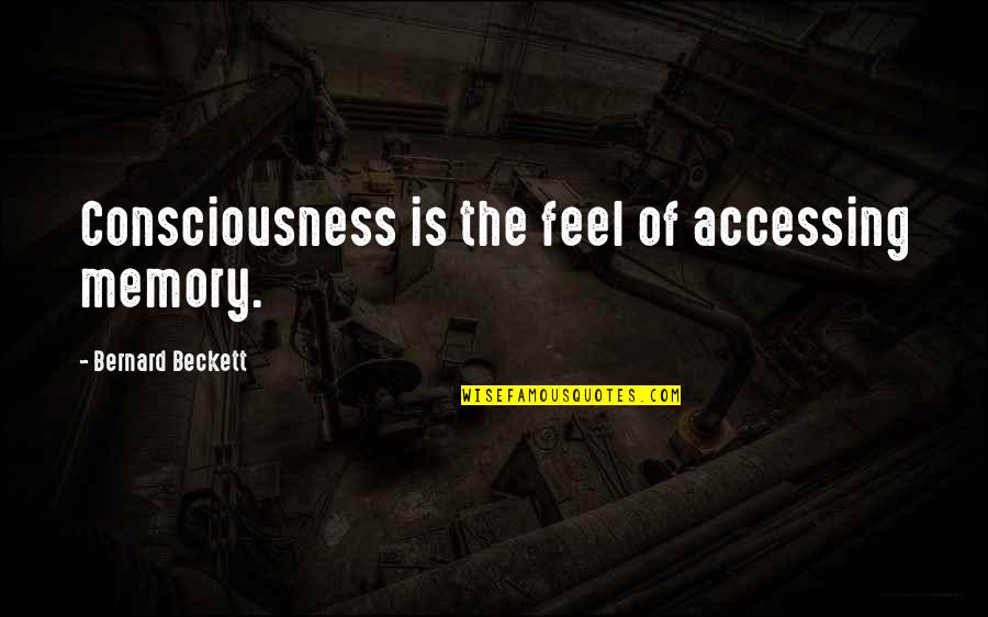 Nezahualcoytl Quotes By Bernard Beckett: Consciousness is the feel of accessing memory.