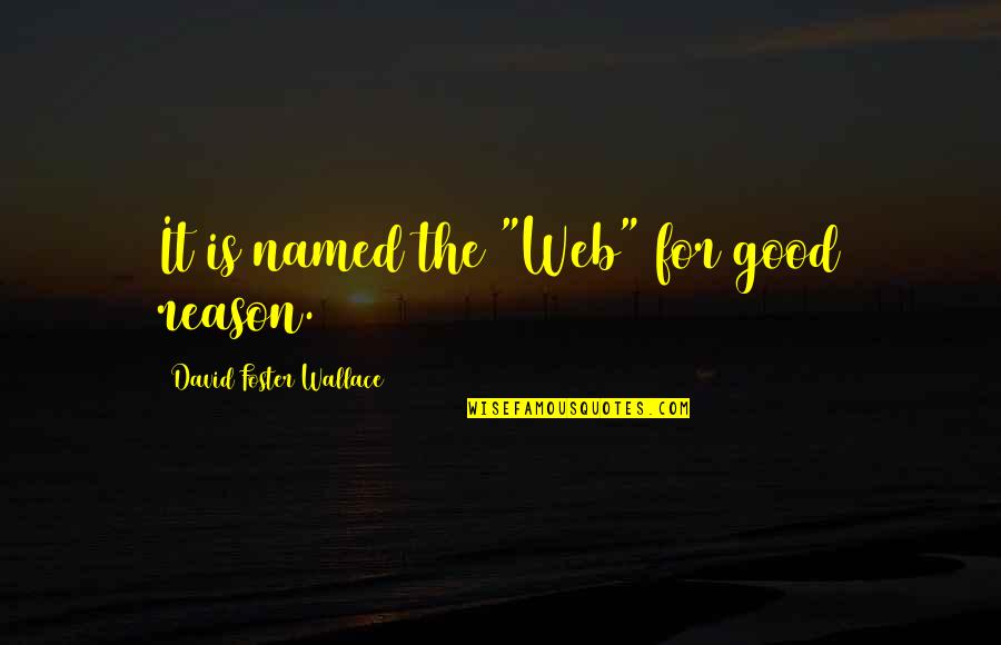 Nezhad Neurology Quotes By David Foster Wallace: It is named the "Web" for good reason.