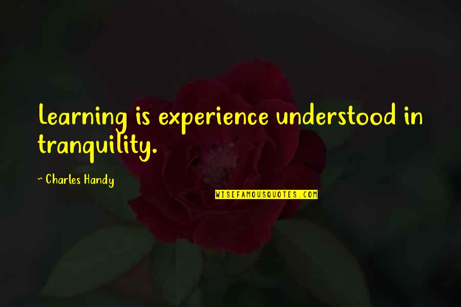 Nezuko Chan Quotes By Charles Handy: Learning is experience understood in tranquility. Nezuko Chan Quotes By Charles Handy: Learning is experience understood in tranquility.