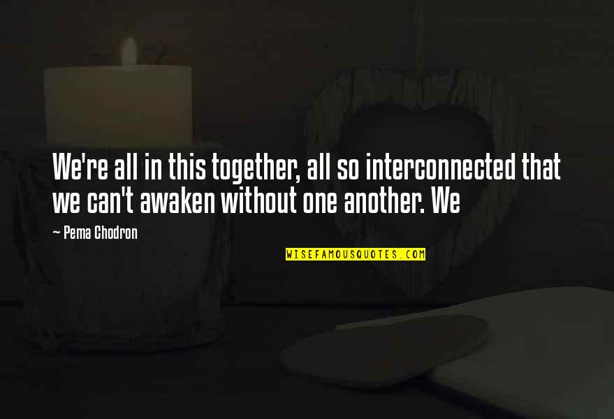 Nezumi And Shion Quotes By Pema Chodron: We're all in this together, all so interconnected Nezumi And Shion Quotes By Pema Chodron: We're all in this together, all so interconnected